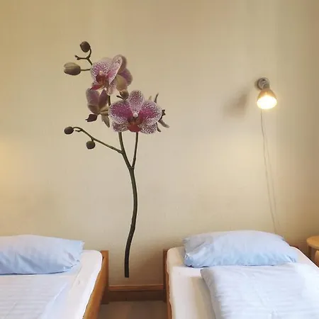 Auberge de jeunesse Backpacker